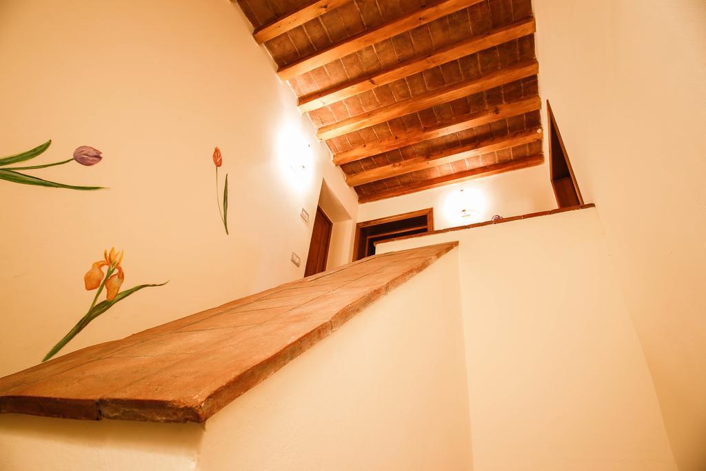 Farm stay Gatto Bianco Tizzauli