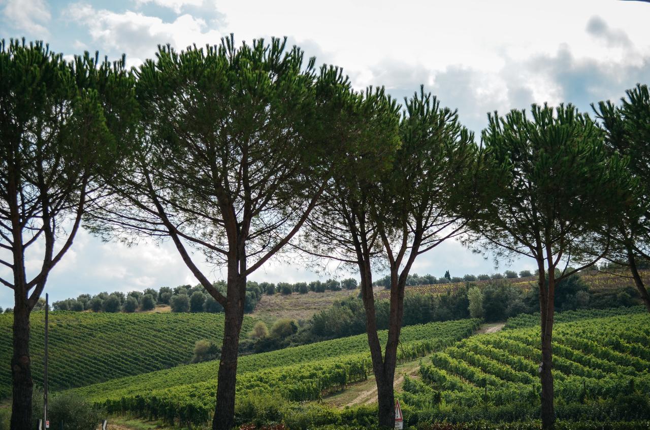 Farm stay Gatto Bianco Tizzauli
